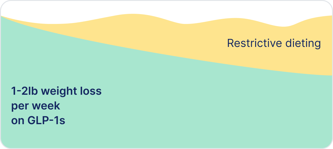 Balance Overview Chart