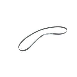 Fiat Serpentine Belt 04861997AA