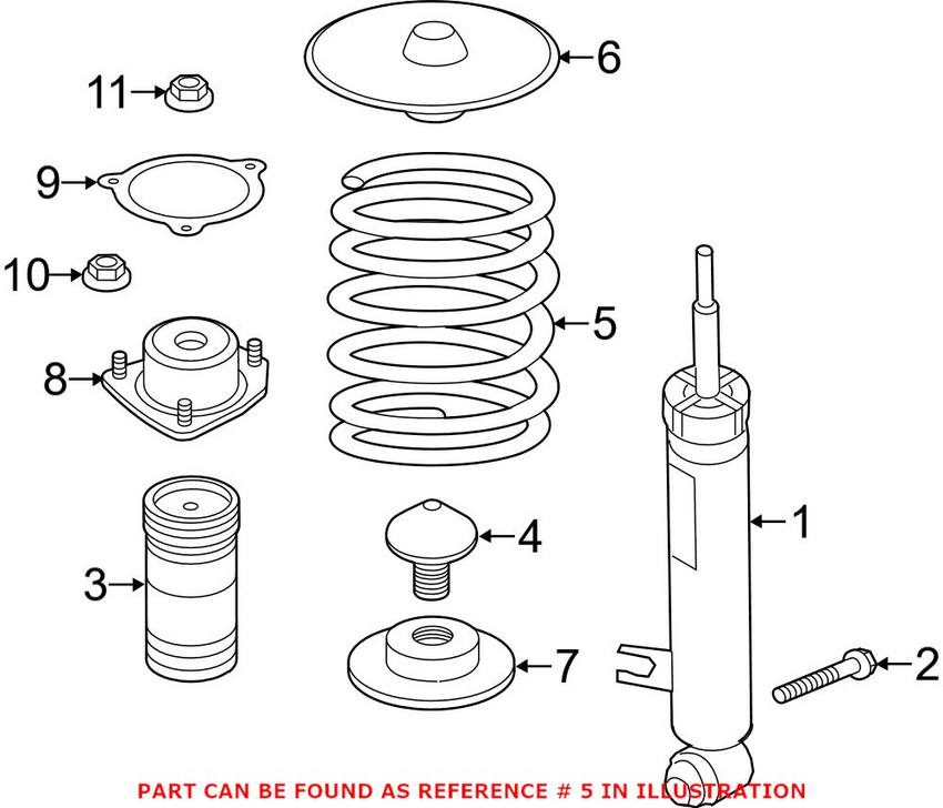 Coil Spring - Rear