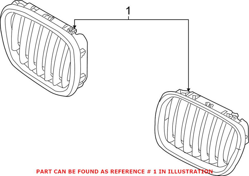 BMW Kidney Grille - Driver Side (Titanium) 51137185223