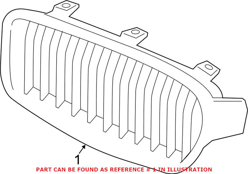 BMW Kidney Grille - Front Driver Side 51137255411