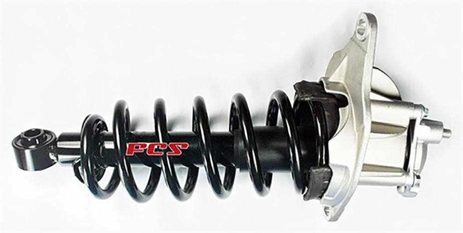 Suspension Strut and Coil Spring Assembly - Rear Passenger Side