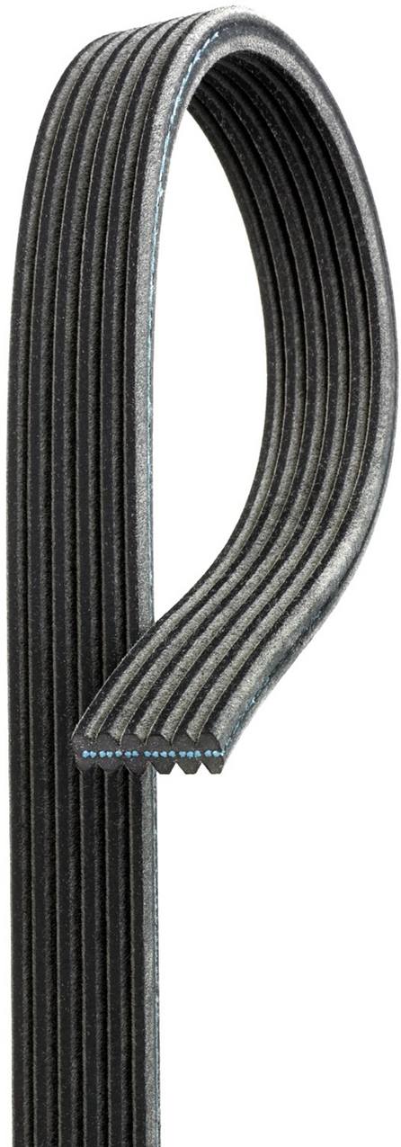 Volvo Accessory Drive Belt (6K 1841) 30731808 - Gates DK060725