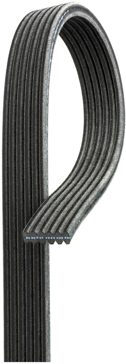 Jaguar Accessory Drive Belt C2D39175 - Gates DK080555