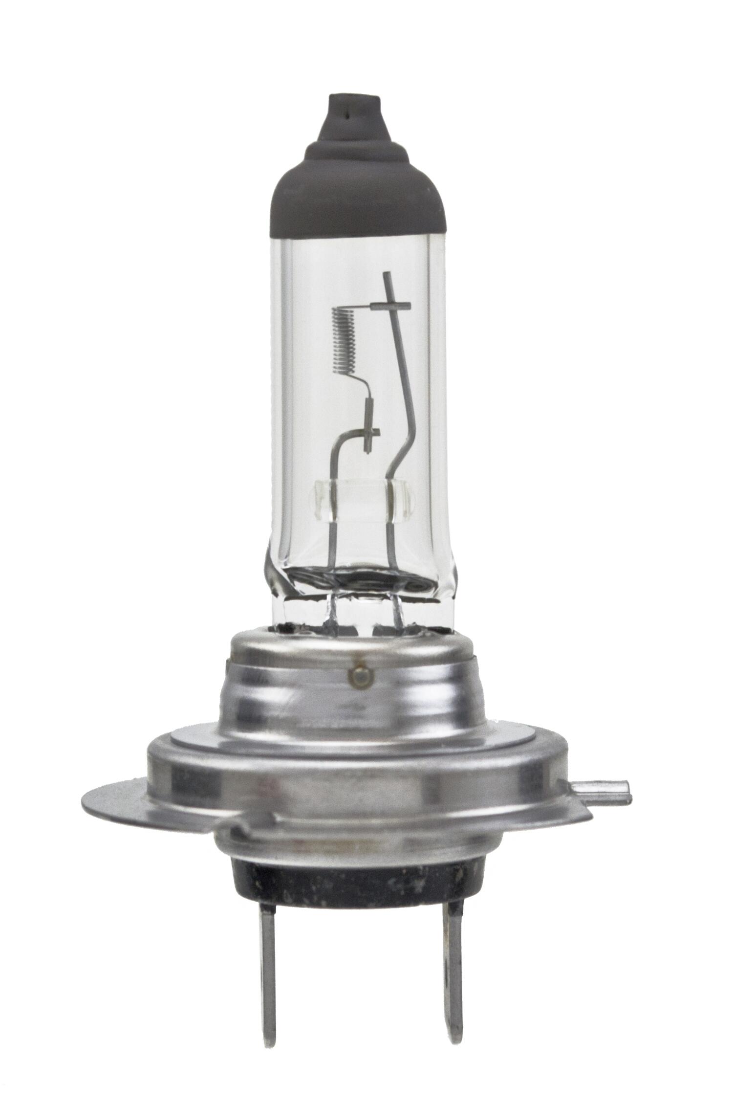 Volvo H7 Halogen Headlamp Bulb Longlife 12V 55W