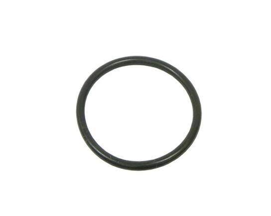 BMW Engine Coolant Pipe O-Ring 40-76667-00 - Victor Reinz