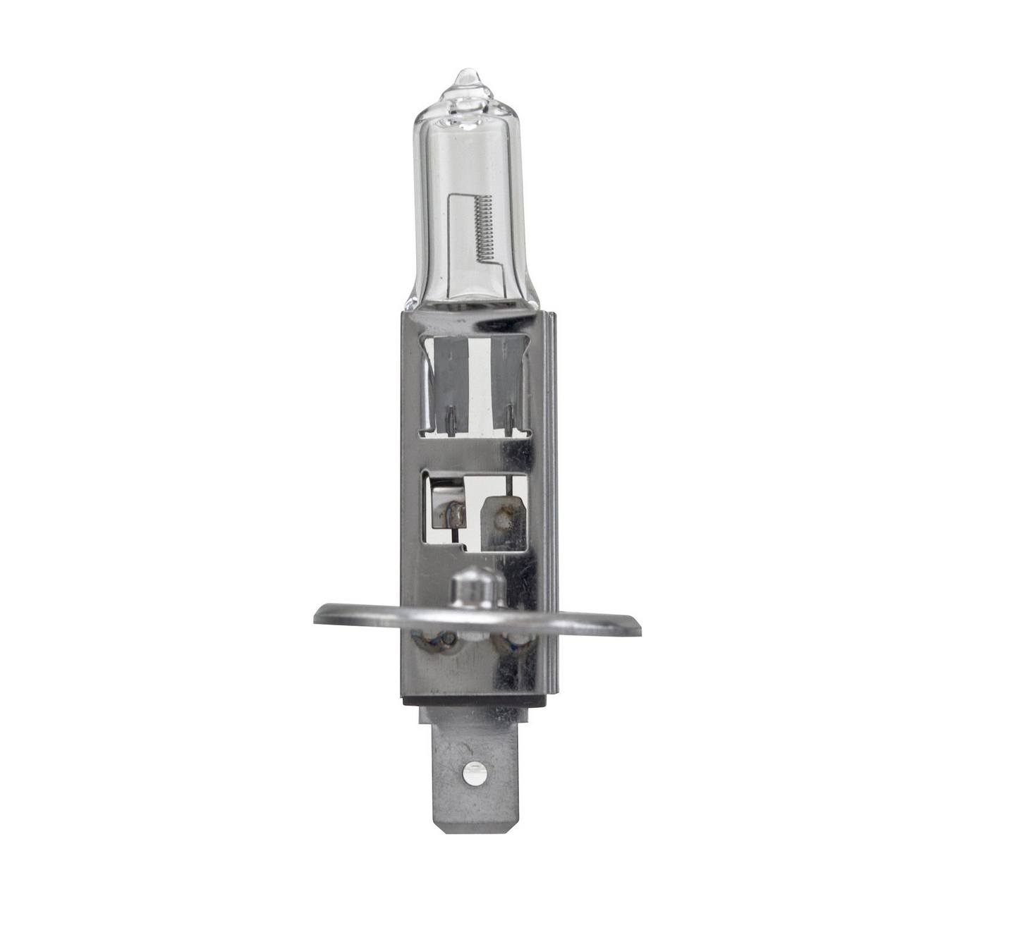 Fog Light Bulb