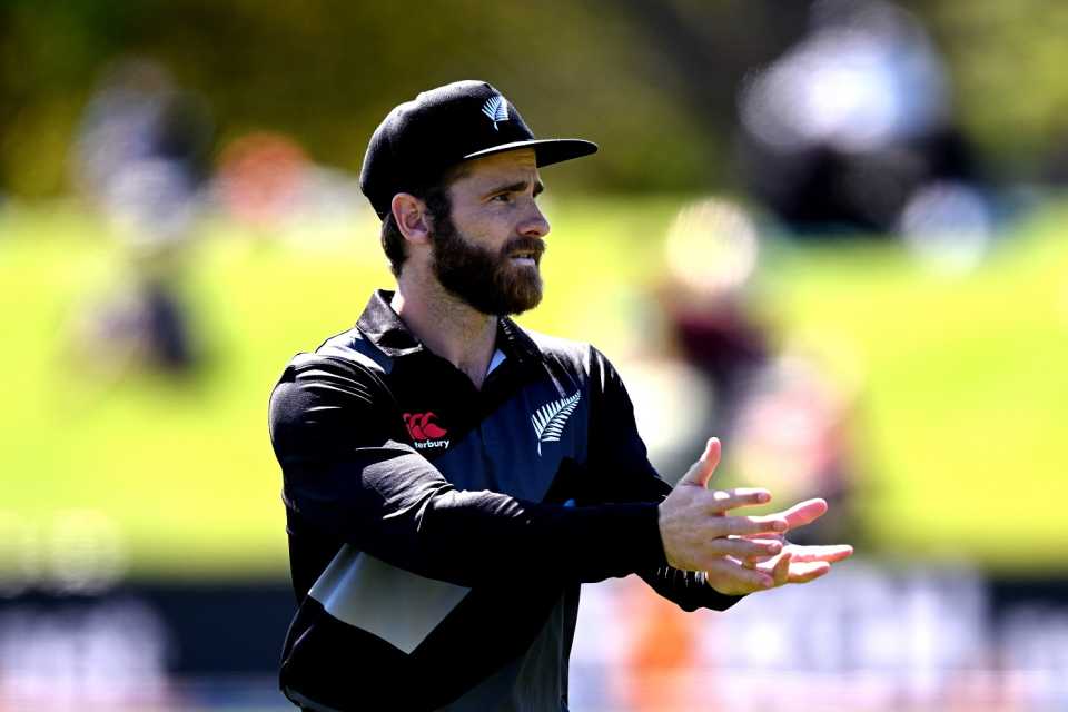 Kane Williamson showers praise on New Zealand duo