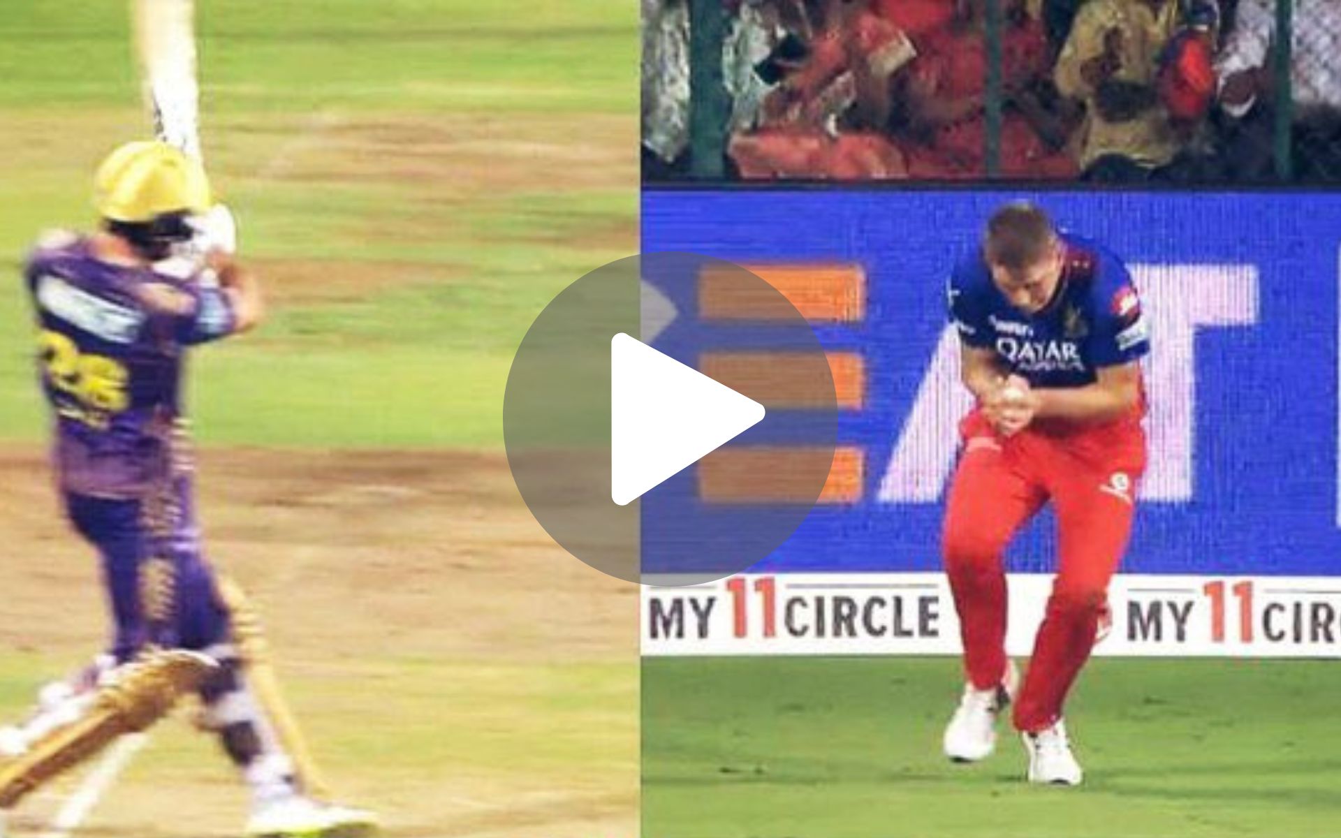 [Watch] Vyshak Vijaykumar Targets Phil Salt's Ribcage With A Deadly Bouncer In RCB vs KKR