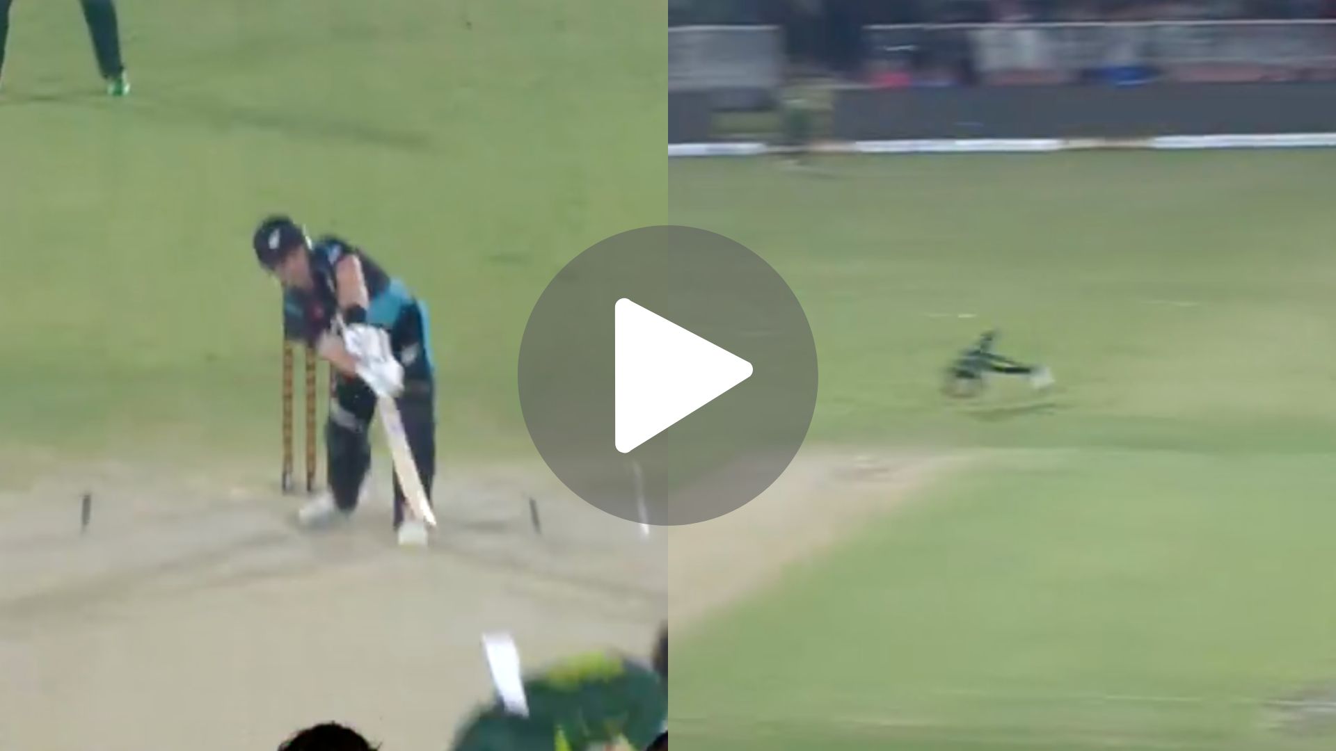 [Watch] Shadab Khan's Stunning Catch Helps Shaheen Dismiss Seifert Cheaply