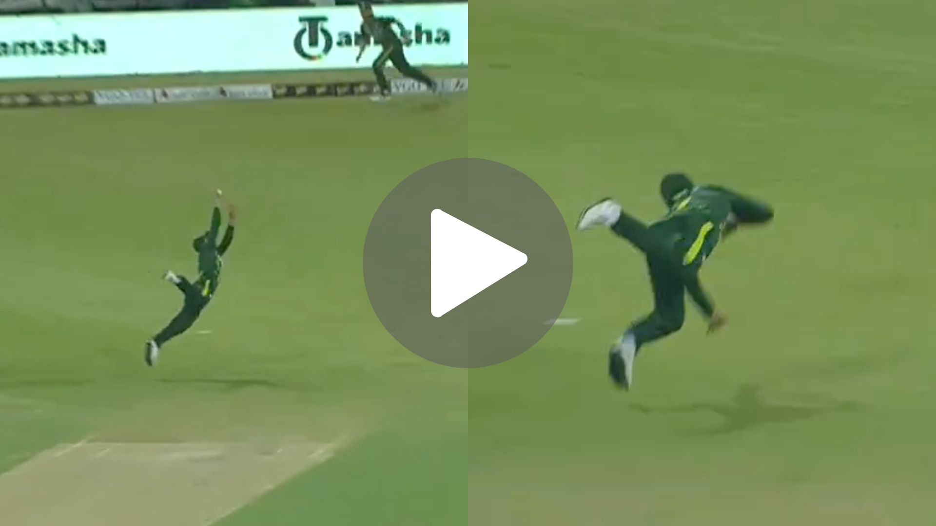 [Watch] Shadab Khan Grabs 'Catch For Ages' As Iftikhar's Golden Arm Hunts Chapman