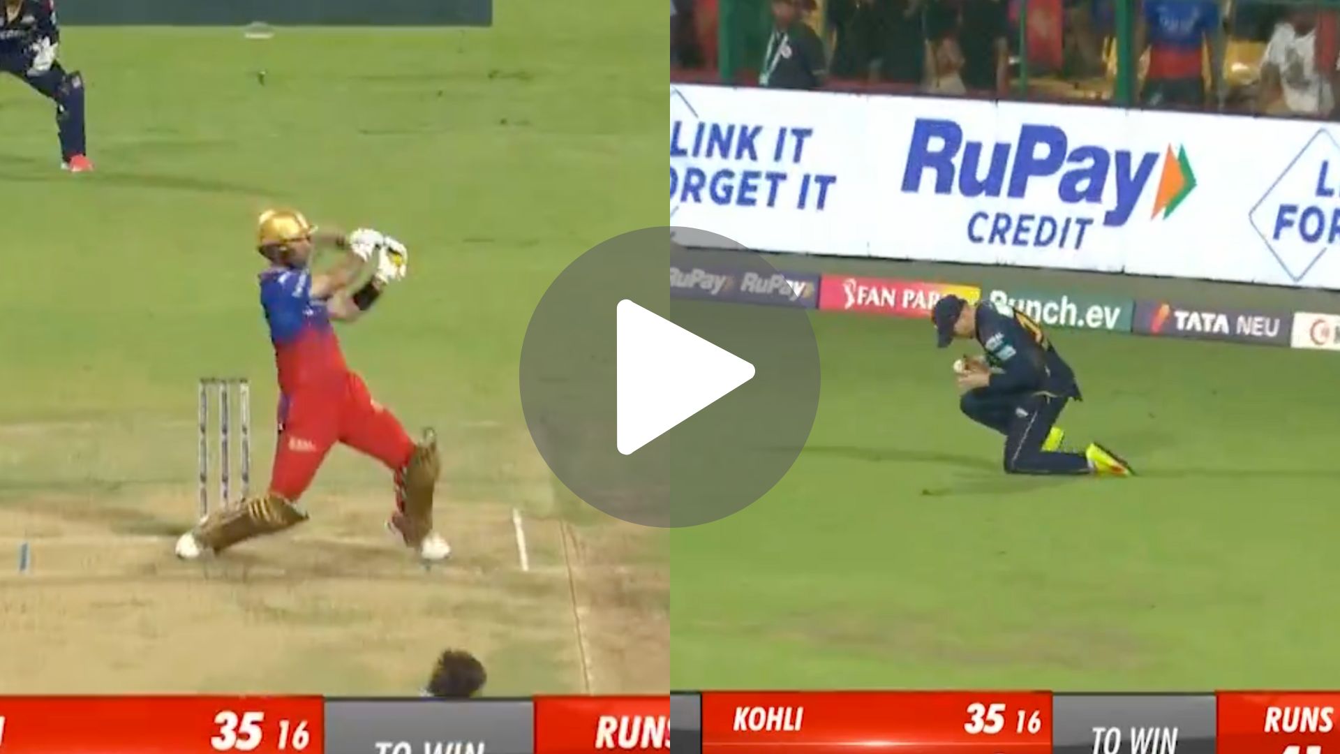 [Watch] Glenn Maxwell Departs As Josh Little Strikes After RCB’s Faf-Kohli Carnage