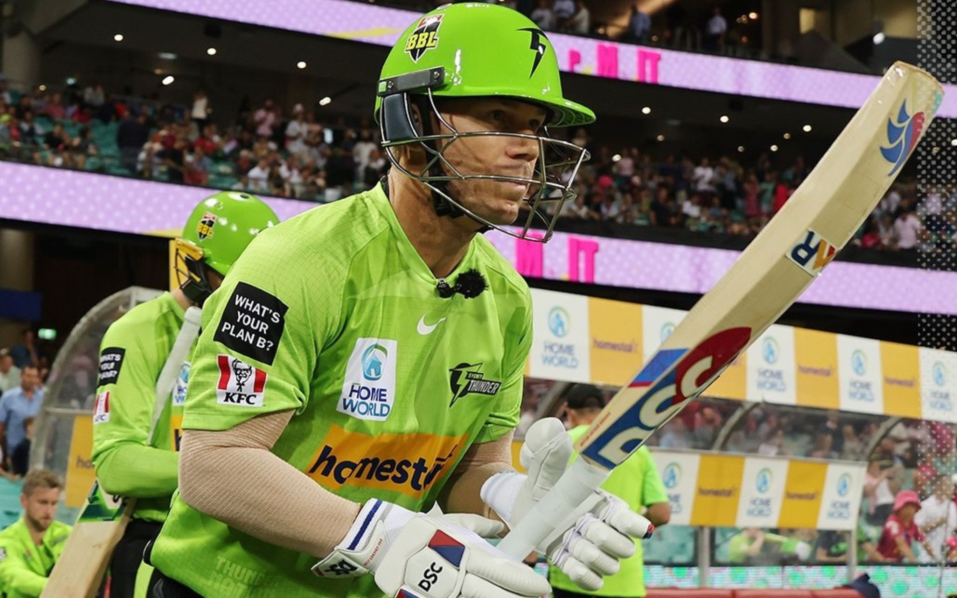 Sydney Thunder Expect A David Warner Return for BBL 2024-25