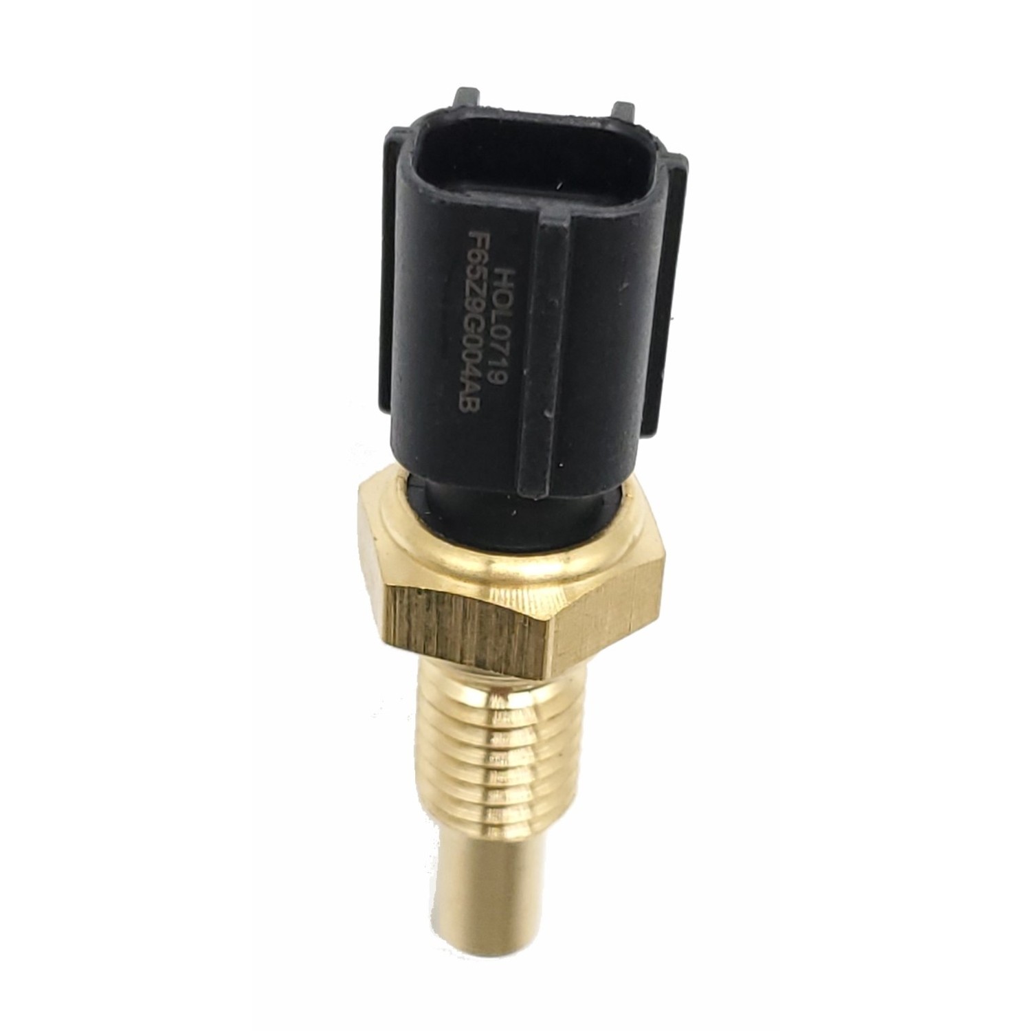 HOLSTEIN Cylinder Head Temperature Sensor 2WTS0002