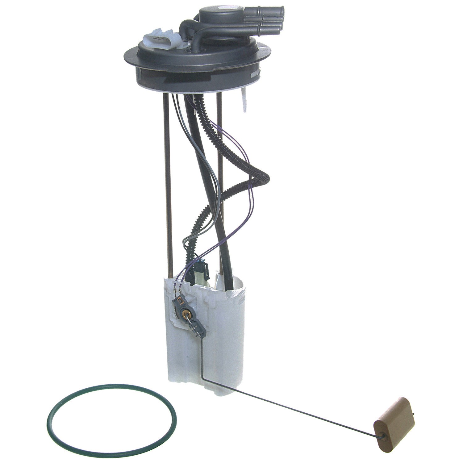 CARTER Fuel Pump & Housing Assembly P76250M