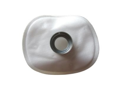 AUTOBEST Fuel Pump Strainer F100S