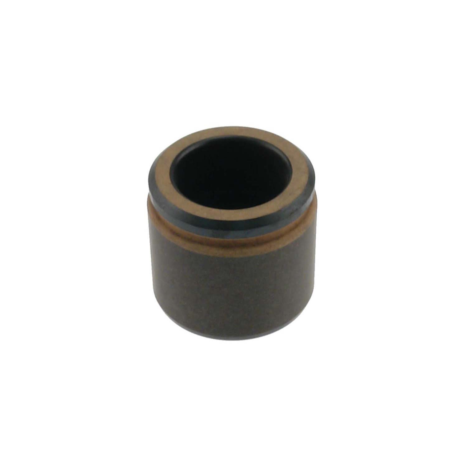 CARLSON Caliper Piston 7563