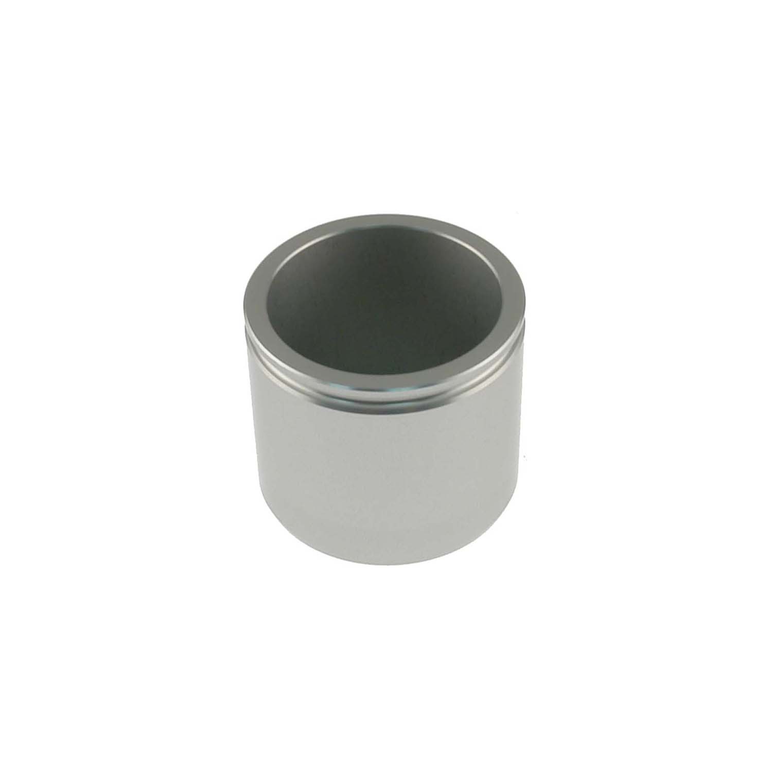 CARLSON Caliper Piston 7569
