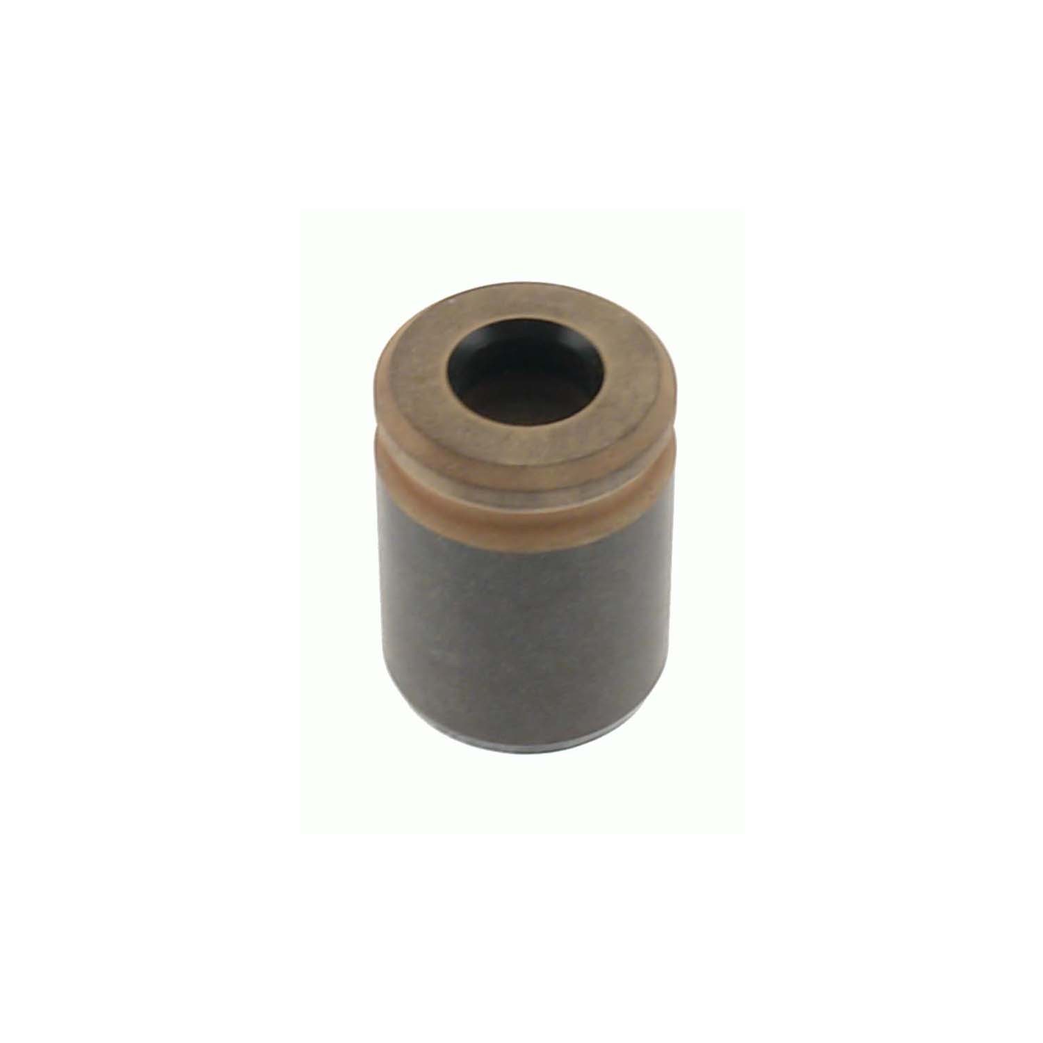 CARLSON Caliper Piston 7654