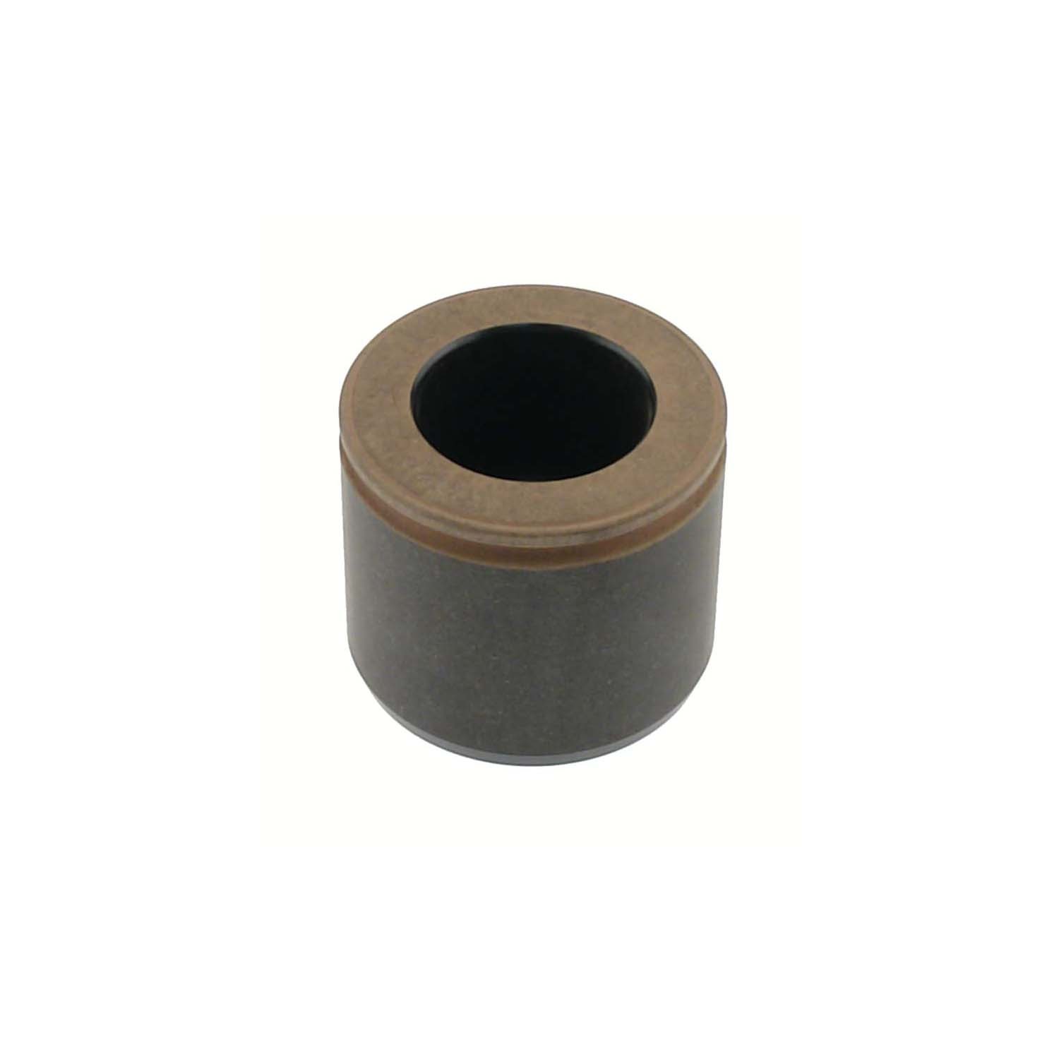 CARLSON Caliper Piston 7707
