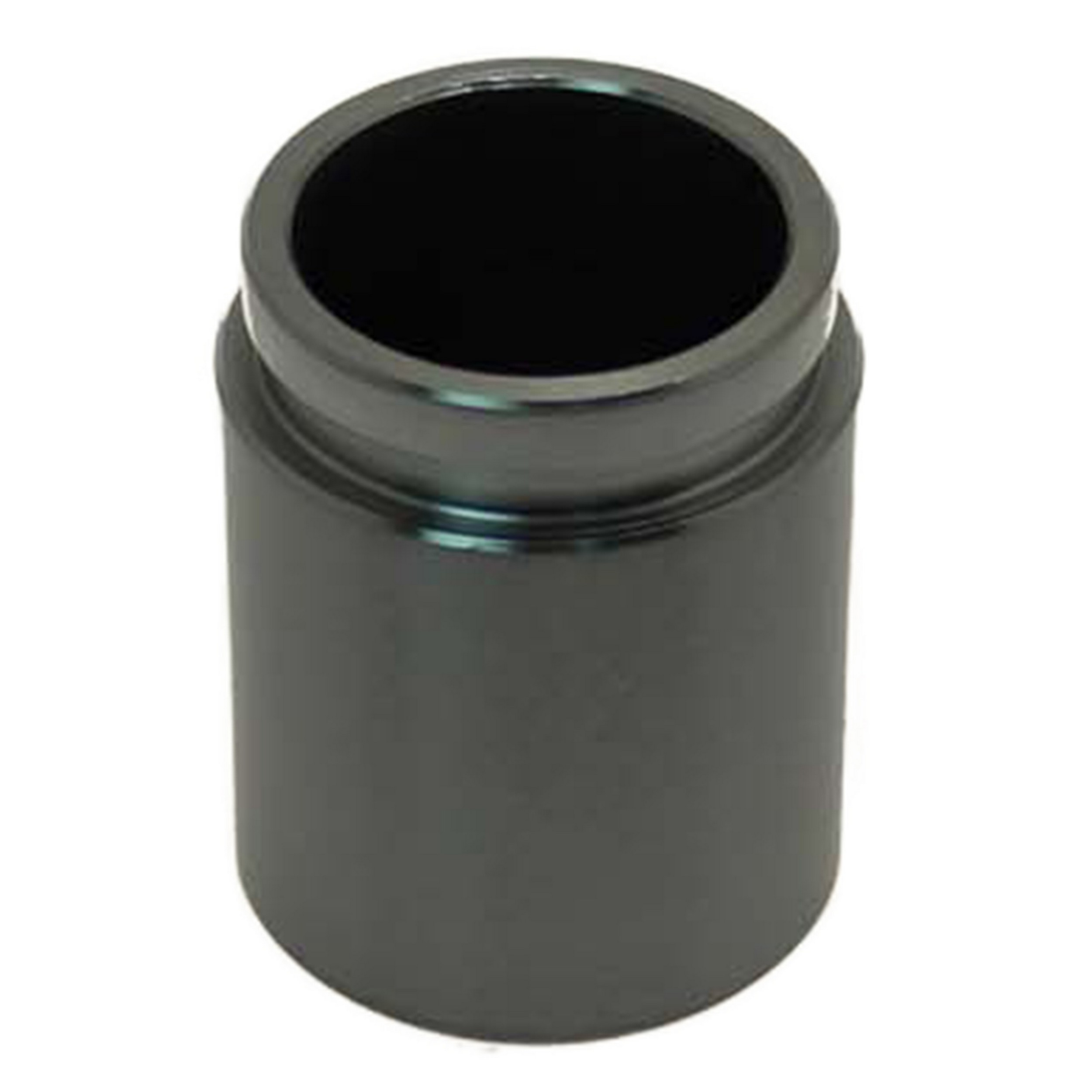 CARLSON Caliper Piston 7959