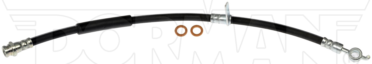 DORMAN Hydraulic Hose H622205