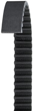 DAYCO Timing Belt 255L100