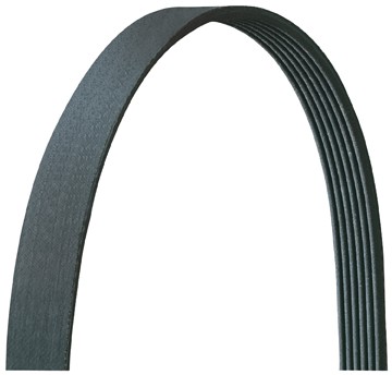 DAYCO Belt 5060890DR