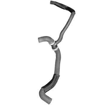 DAYCO Radiator Lower Hose 72381
