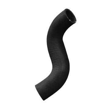 DAYCO Radiator Lower Hose 72395