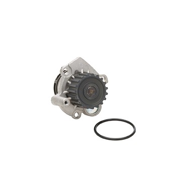 DAYCO Water Pump DP064