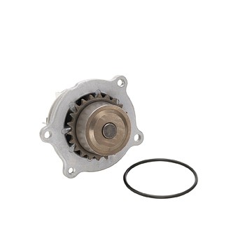 DAYCO Water Pump DP1089