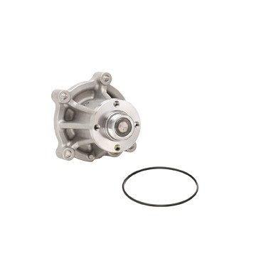 DAYCO Water Pump DP809
