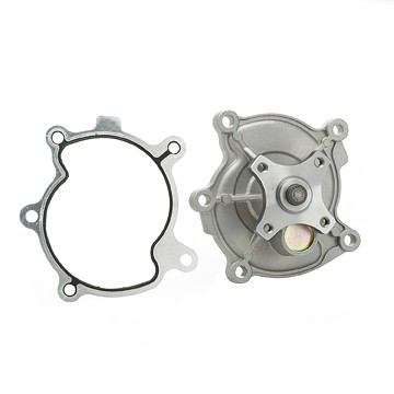 DAYCO Water Pump DP981