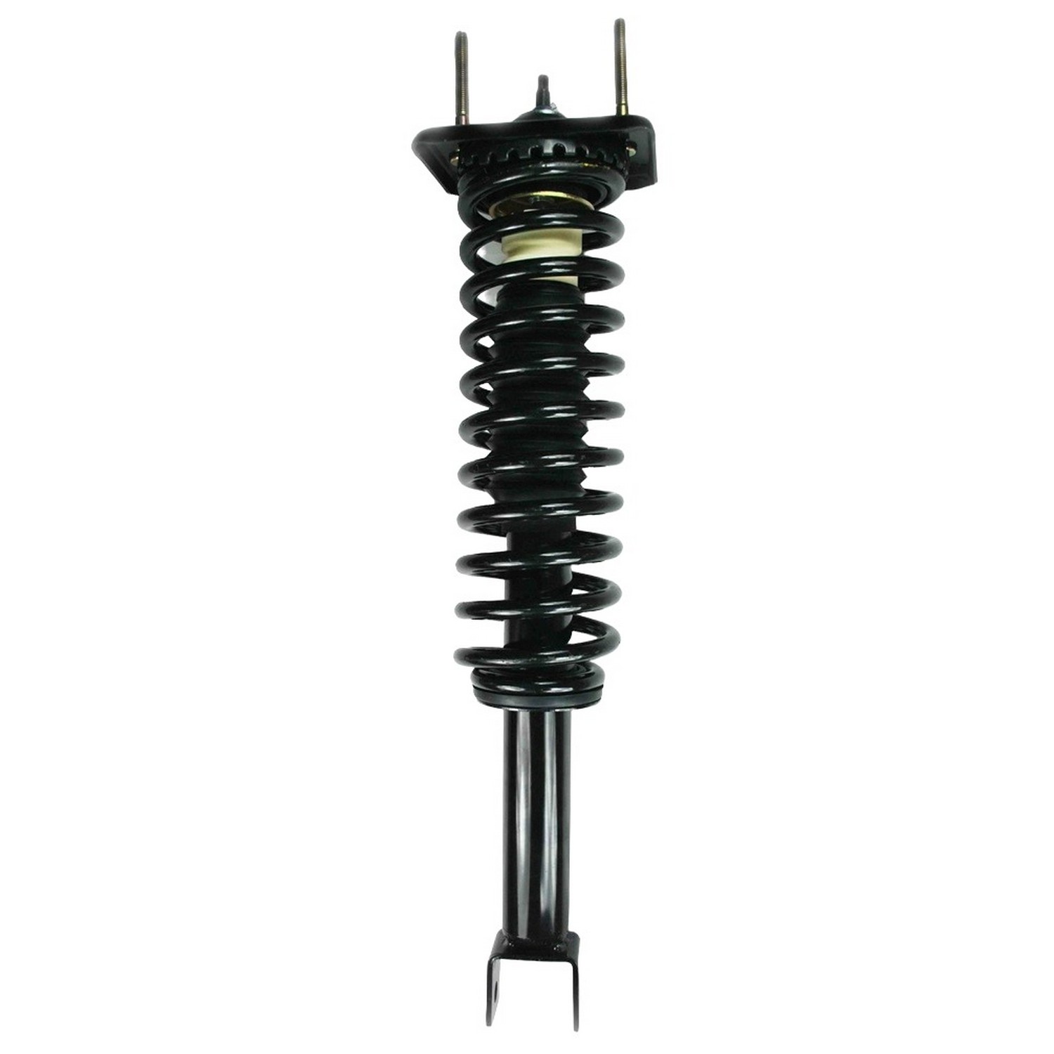FCS Strut / Coil Spring / Mount Assembly 1336345