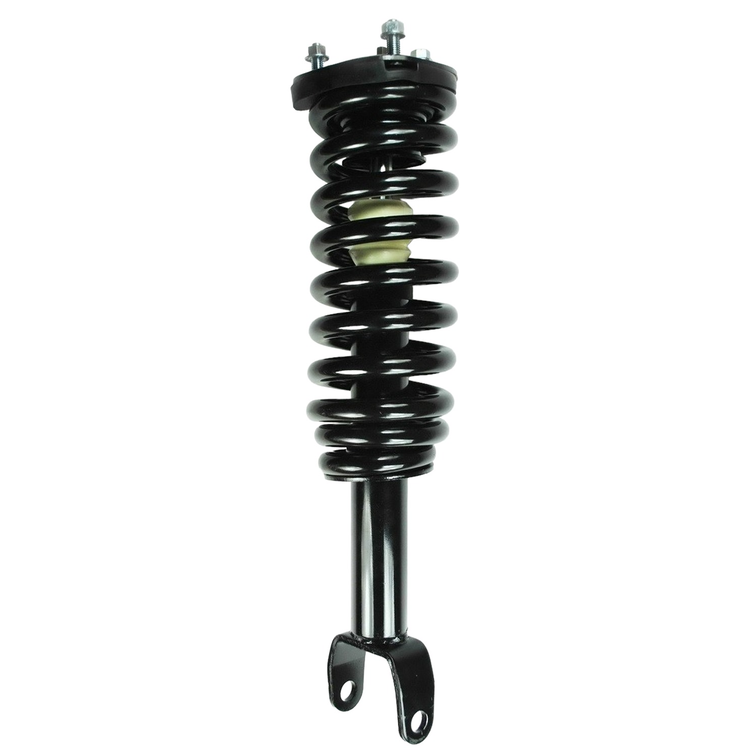 FCS Strut / Coil Spring / Mount Assembly 1345556