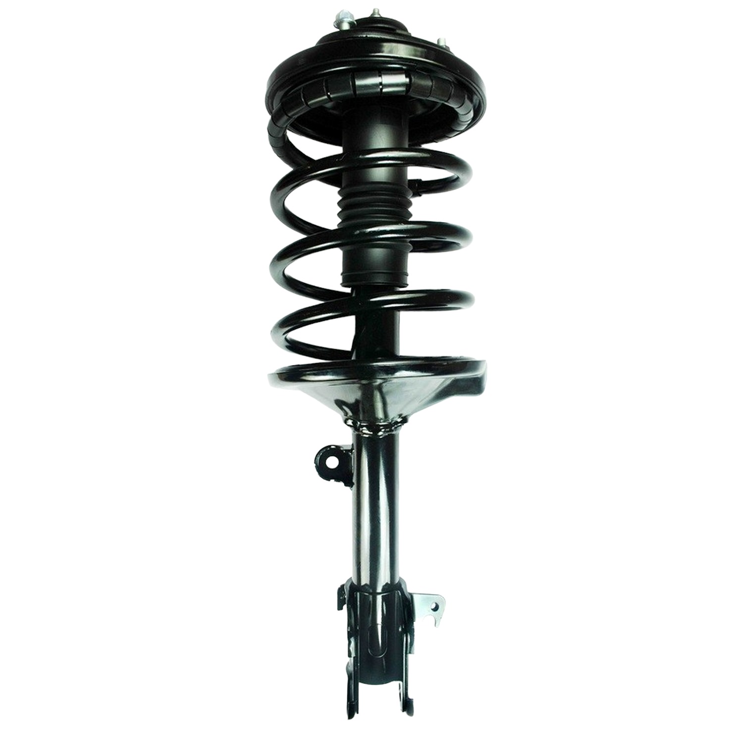 FCS Strut / Coil Spring / Mount Assembly 2331595R