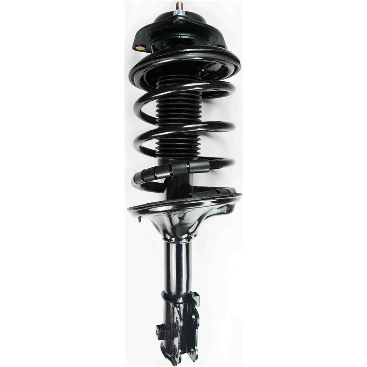 FCS Strut / Coil Spring / Mount Assembly 2331794L