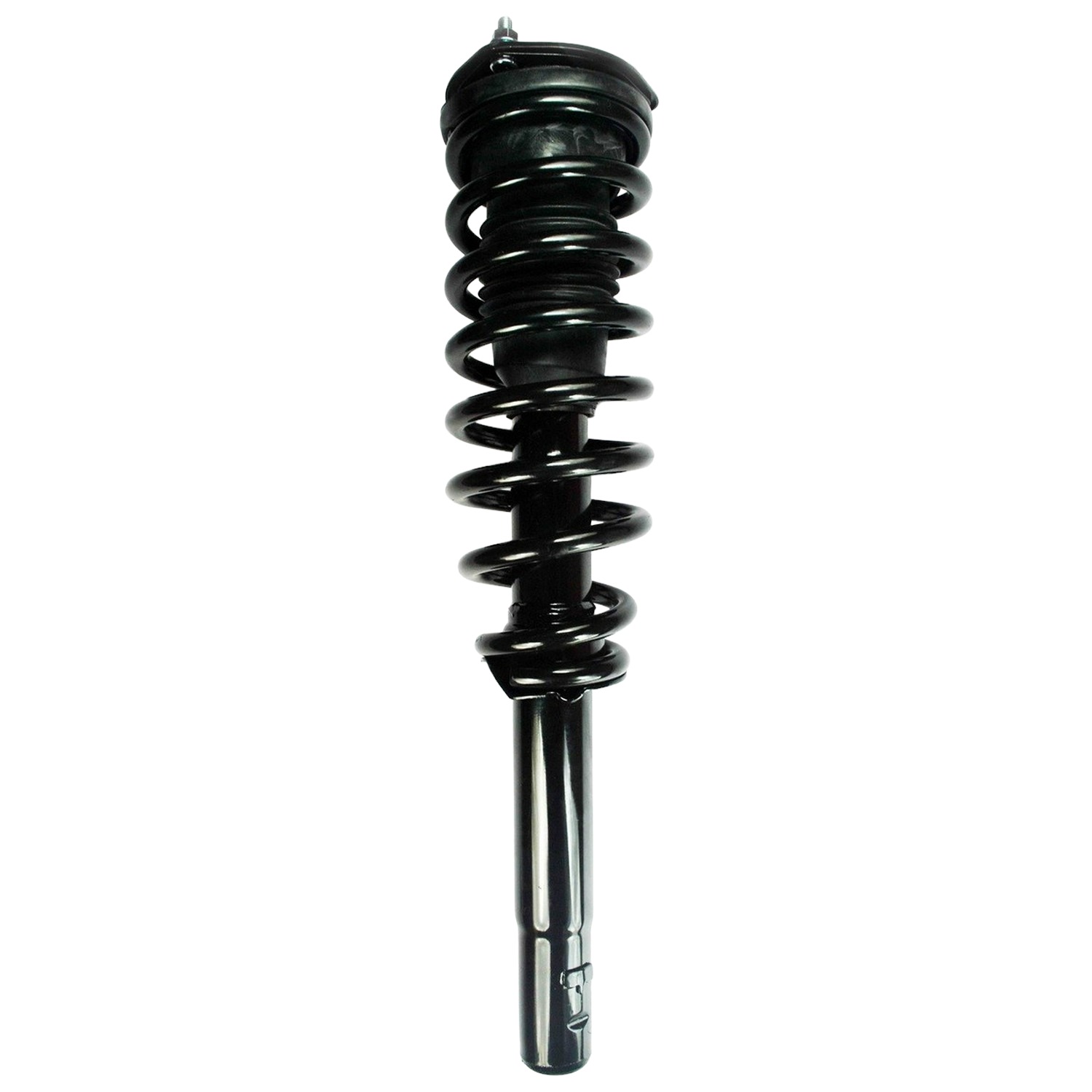 FCS Strut / Coil Spring / Mount Assembly 2335790