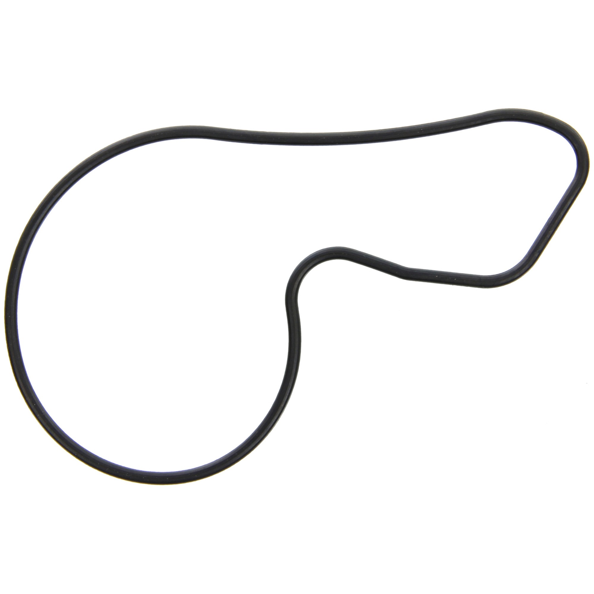 FEL-PRO Water Pump Gasket 35884