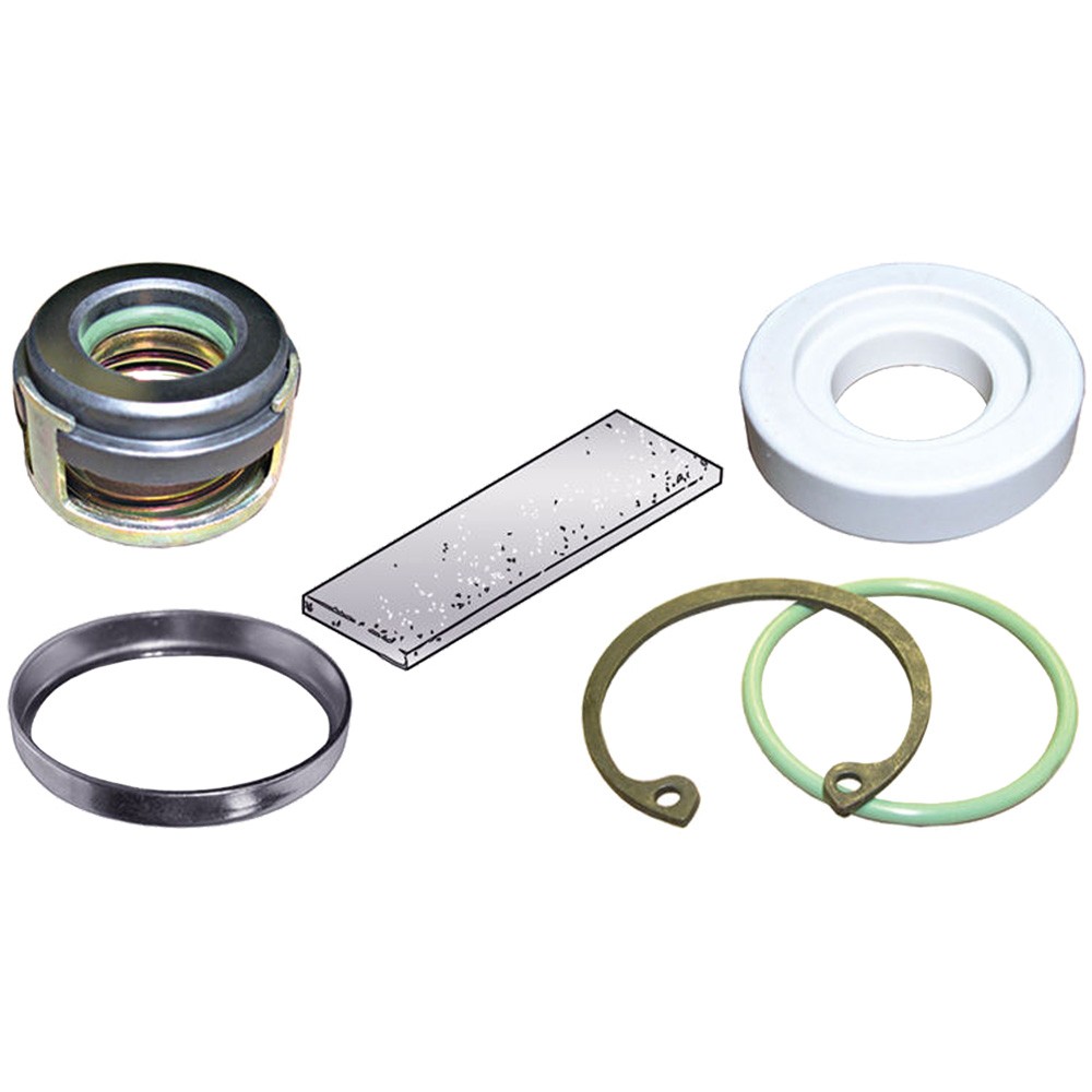 GPD A/C Compressor Seal 1311248