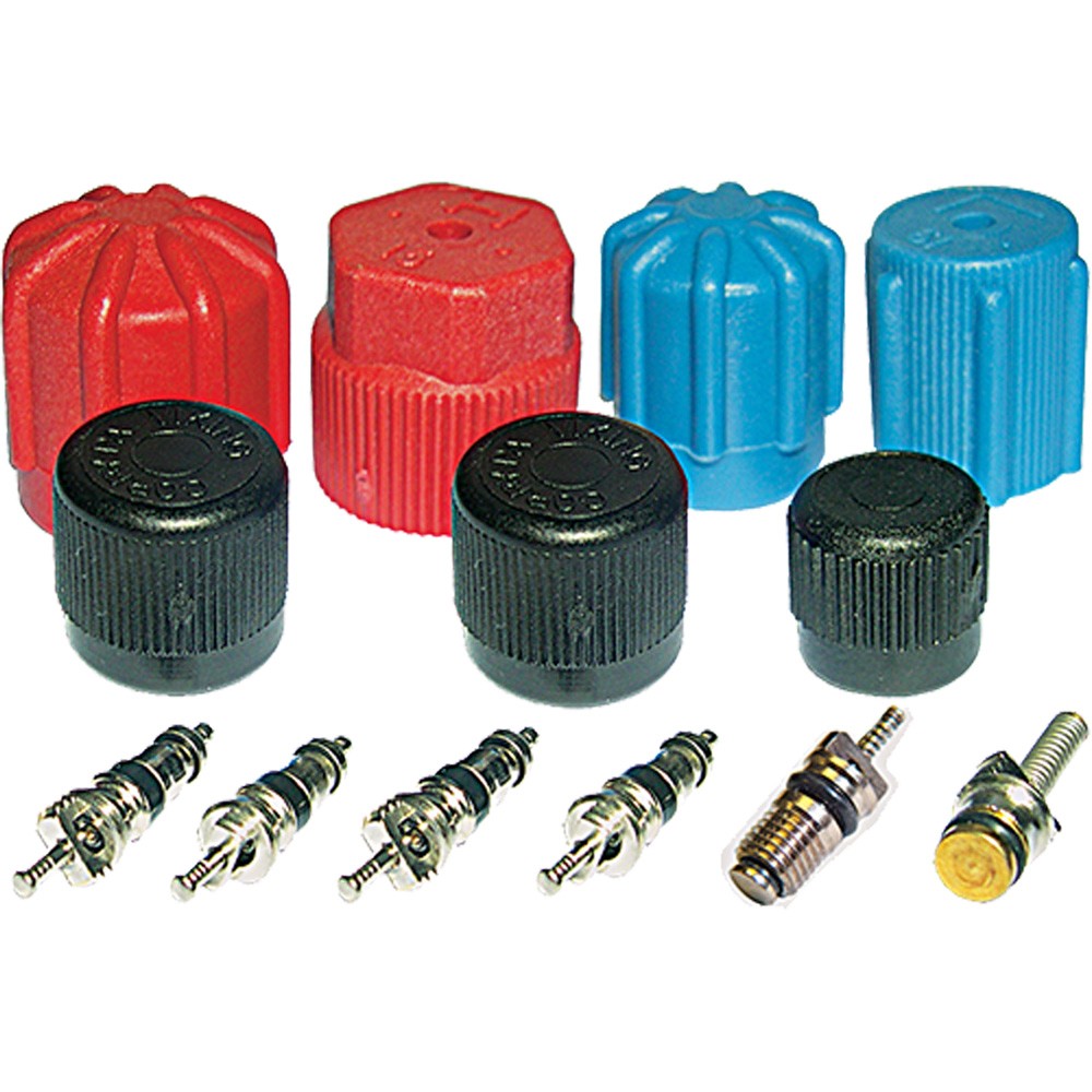 GPD A/C System Valve Core and Cap Kit 1311567