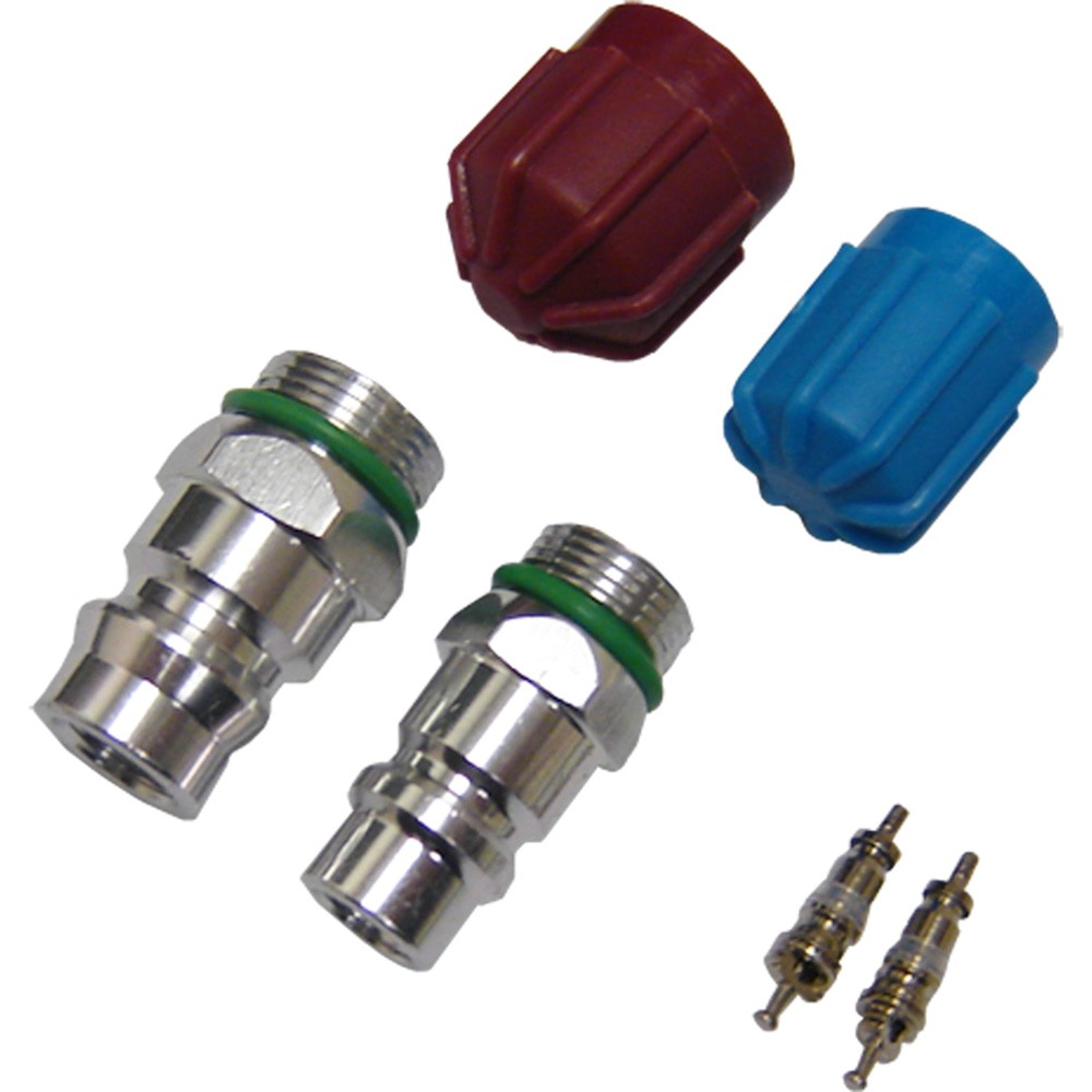 GPD A/C System Valve Core and Cap Kit 1311568