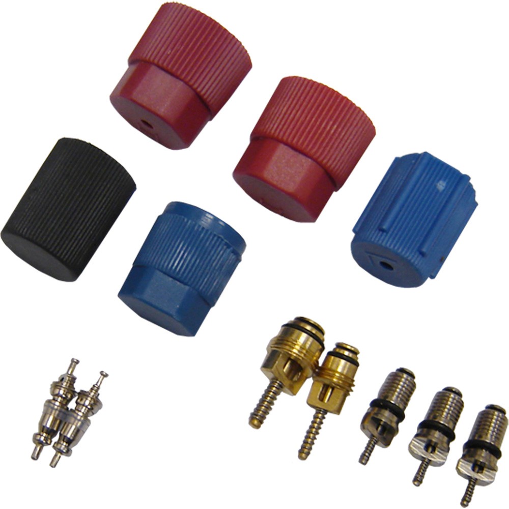 GPD A/C System Valve Core and Cap Kit 1311570