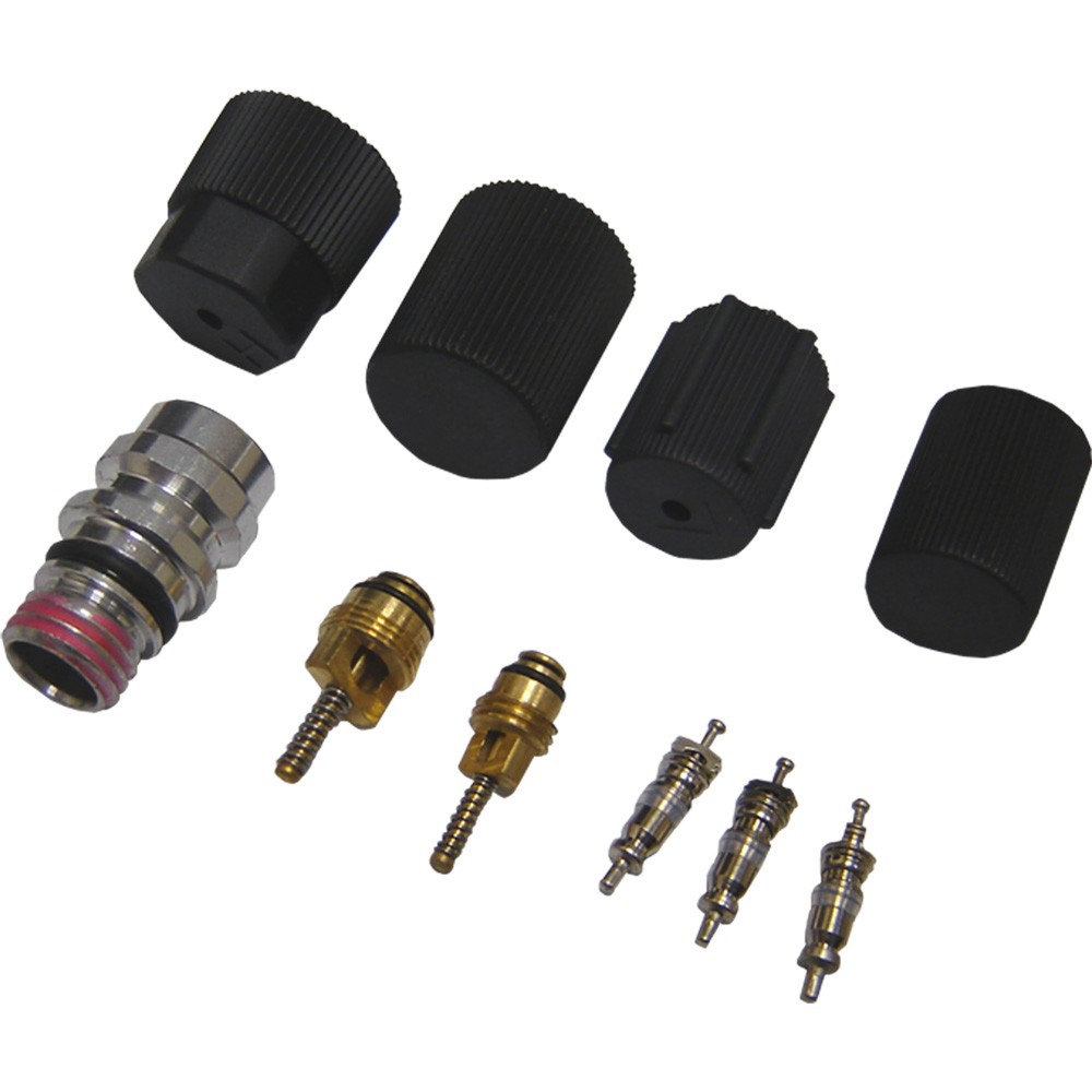 GPD A/C System Valve Core and Cap Kit 1311572