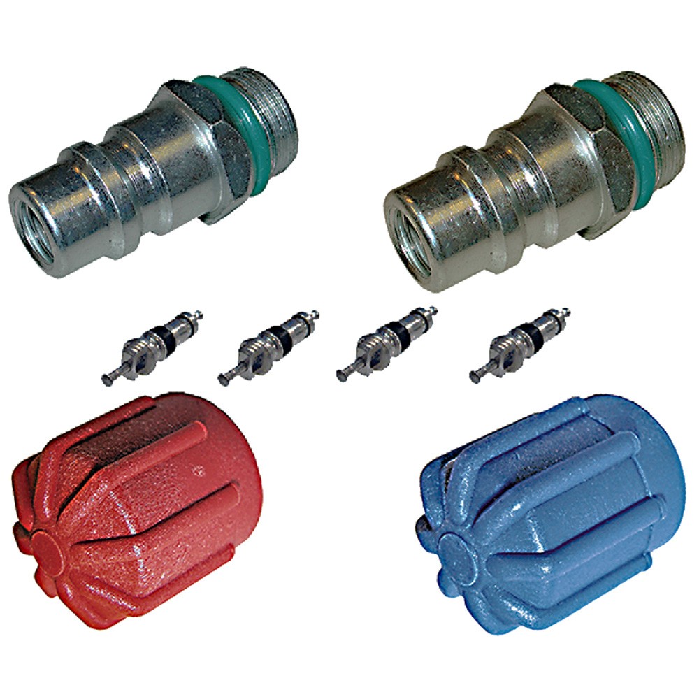 GPD A/C System Valve Core and Cap Kit 1311573