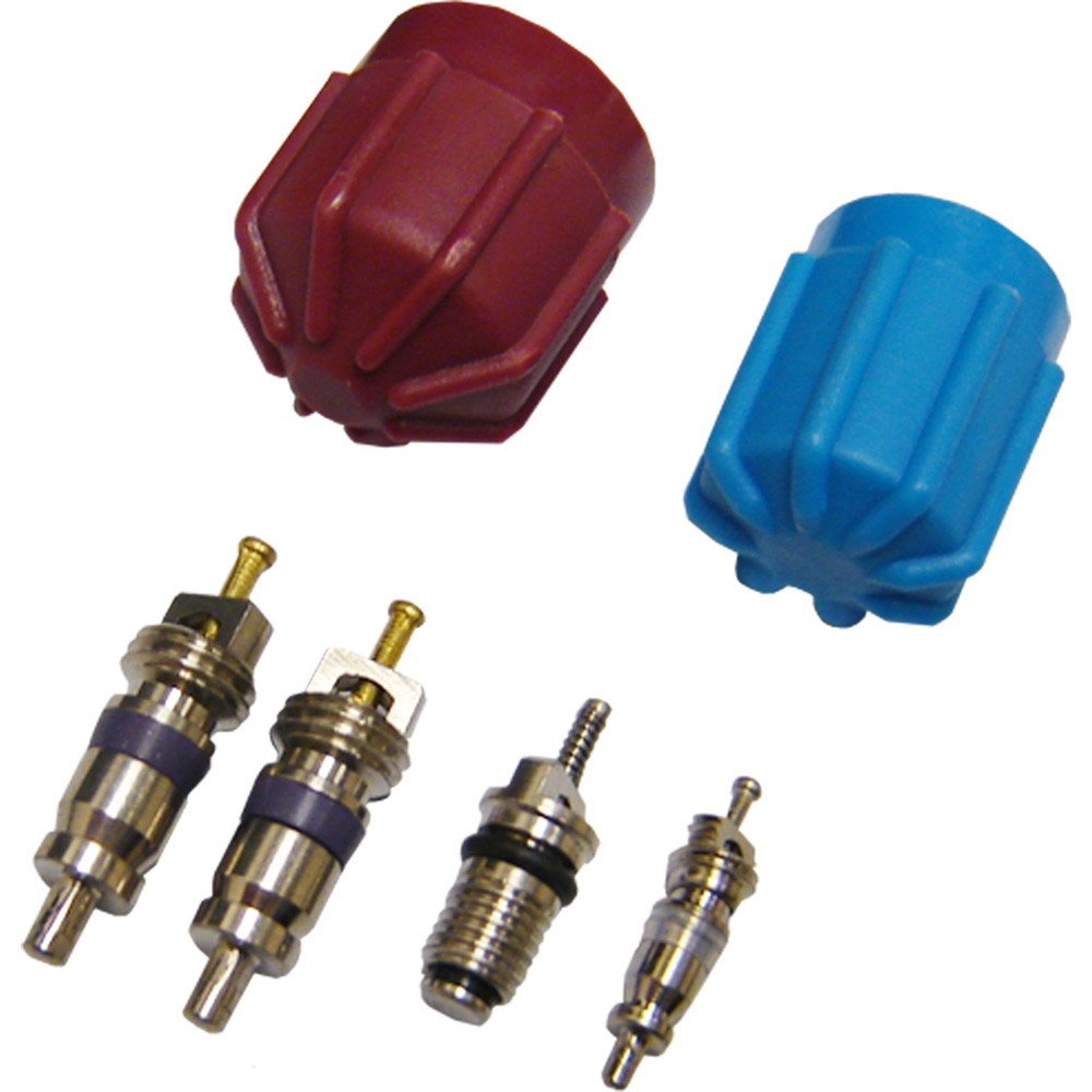 GPD A/C System Valve Core and Cap Kit 1311574