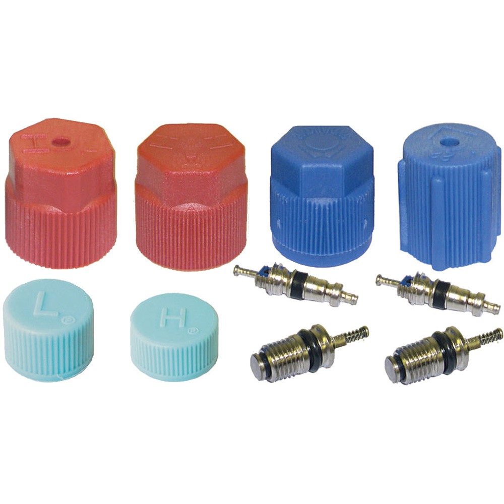 GPD A/C System Valve Core and Cap Kit 1311575