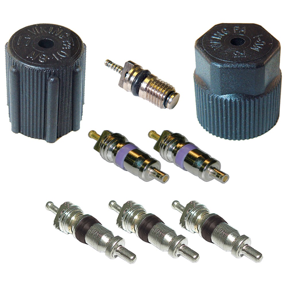GPD A/C System Valve Core and Cap Kit 1311683