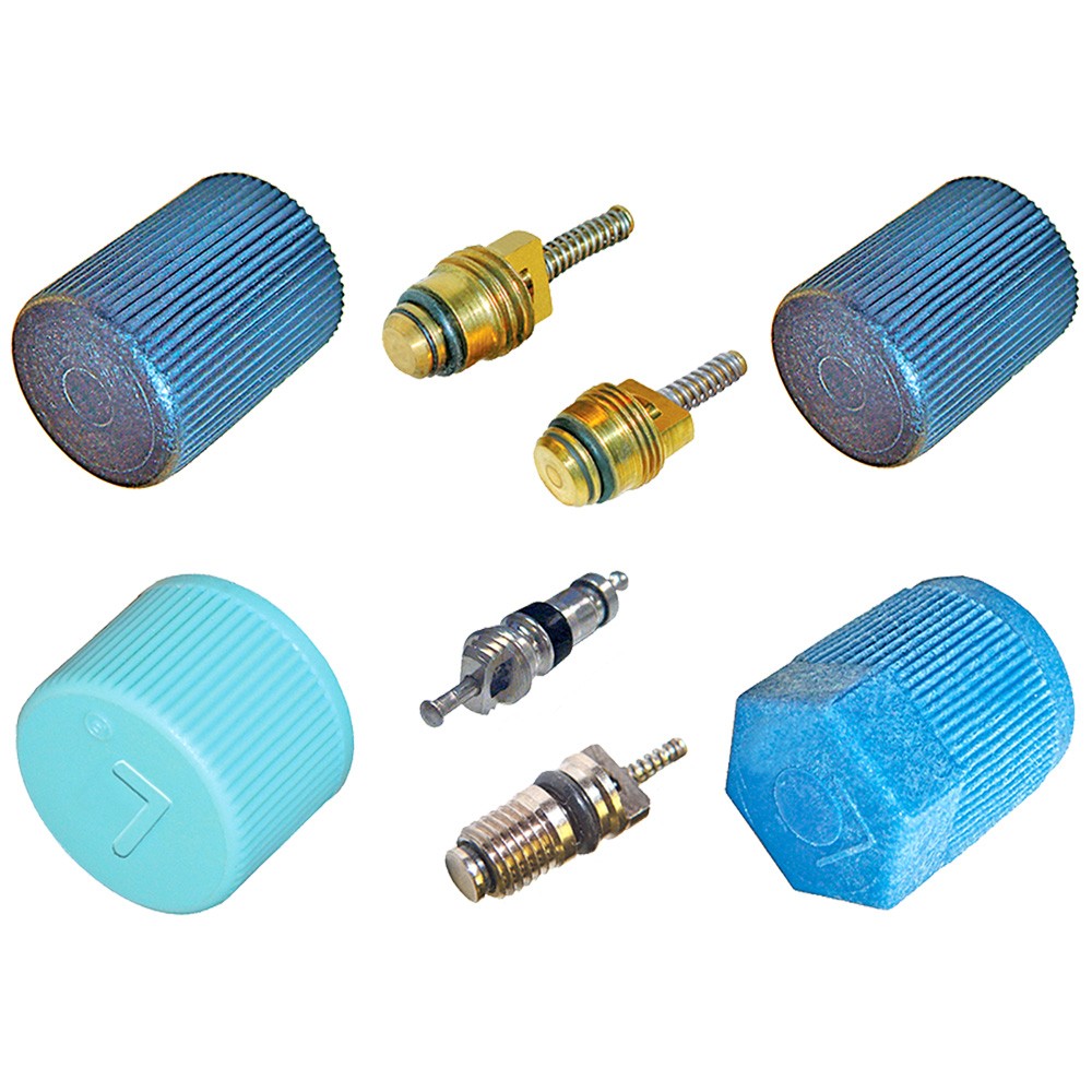 GPD A/C System Valve Core and Cap Kit 1321363